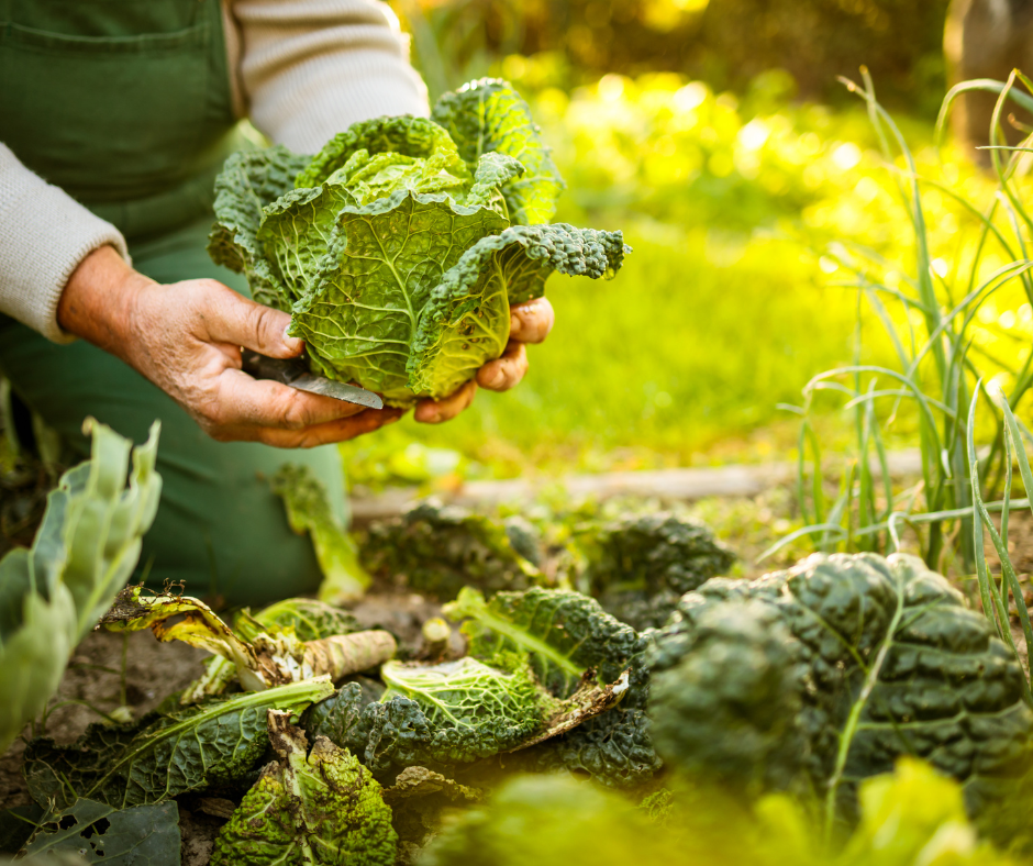 Bien connaître sa terre permet d'avoir un potager un bonne santé. 