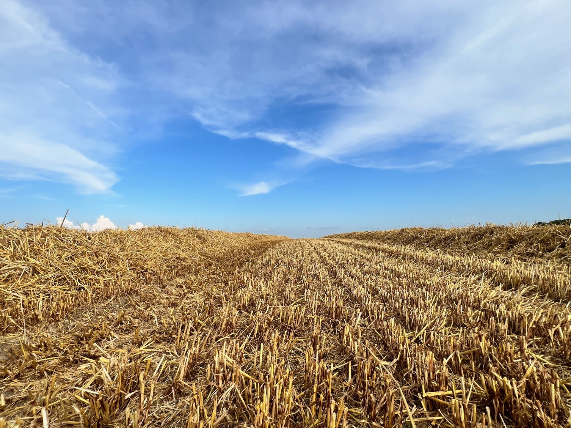 L'agriculture en Province de Namur
