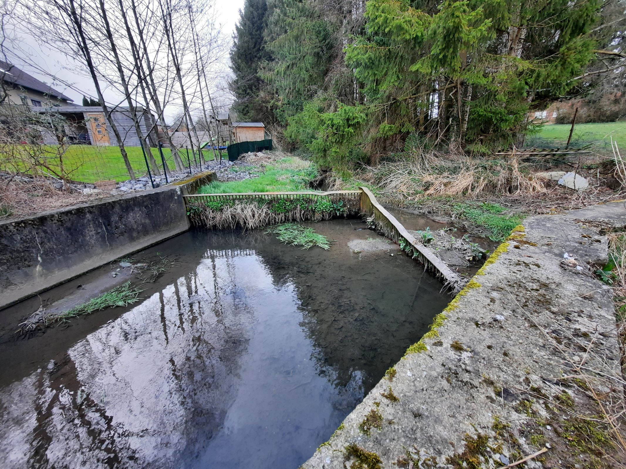 Ruisseau des Forges - Avant travaux