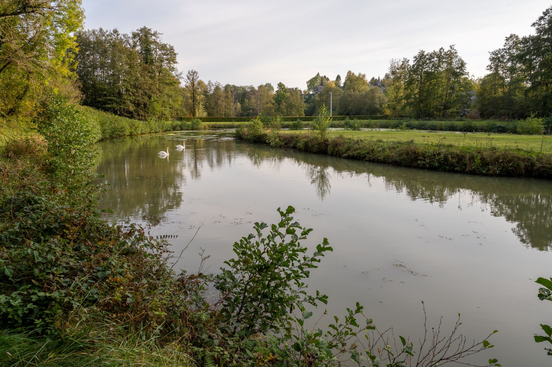 Tout ce qu'il faut savoir sur les cours d'eau en Province de Namur