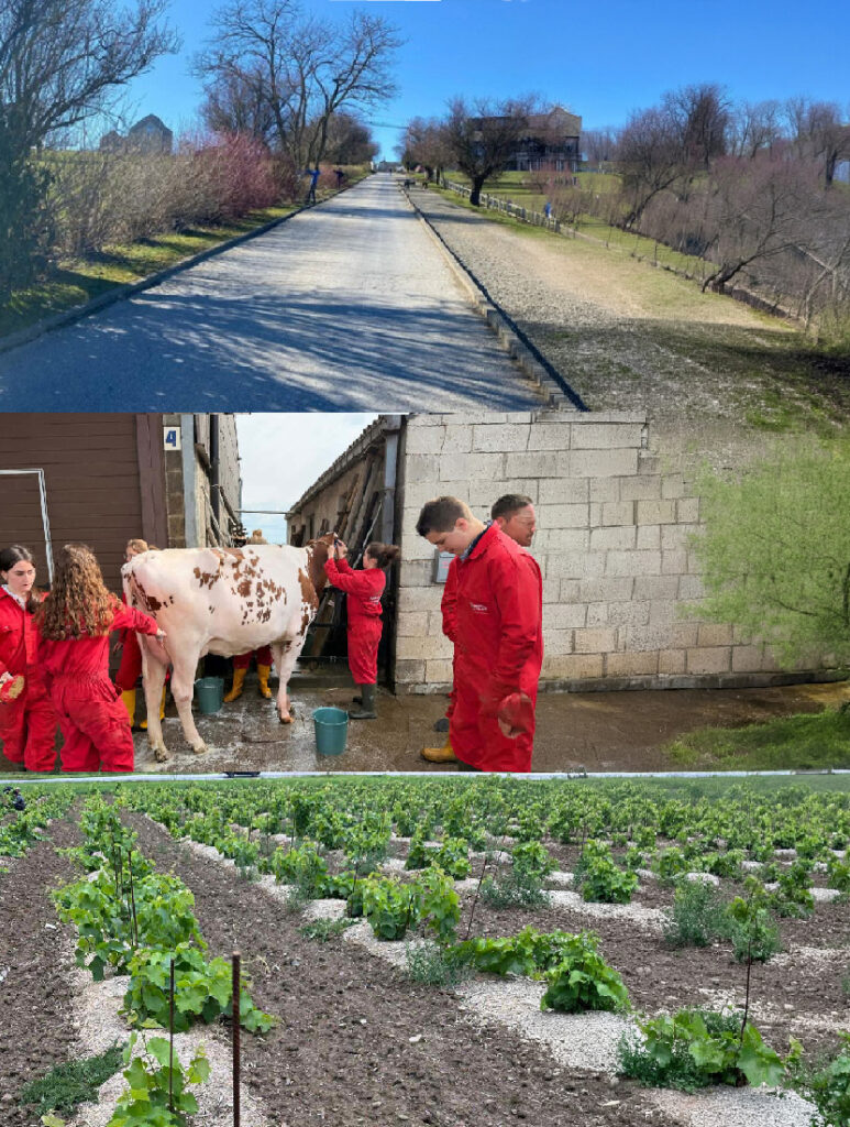 Ouvrier / ouvrière pour le pôle agricole (F/H/X)